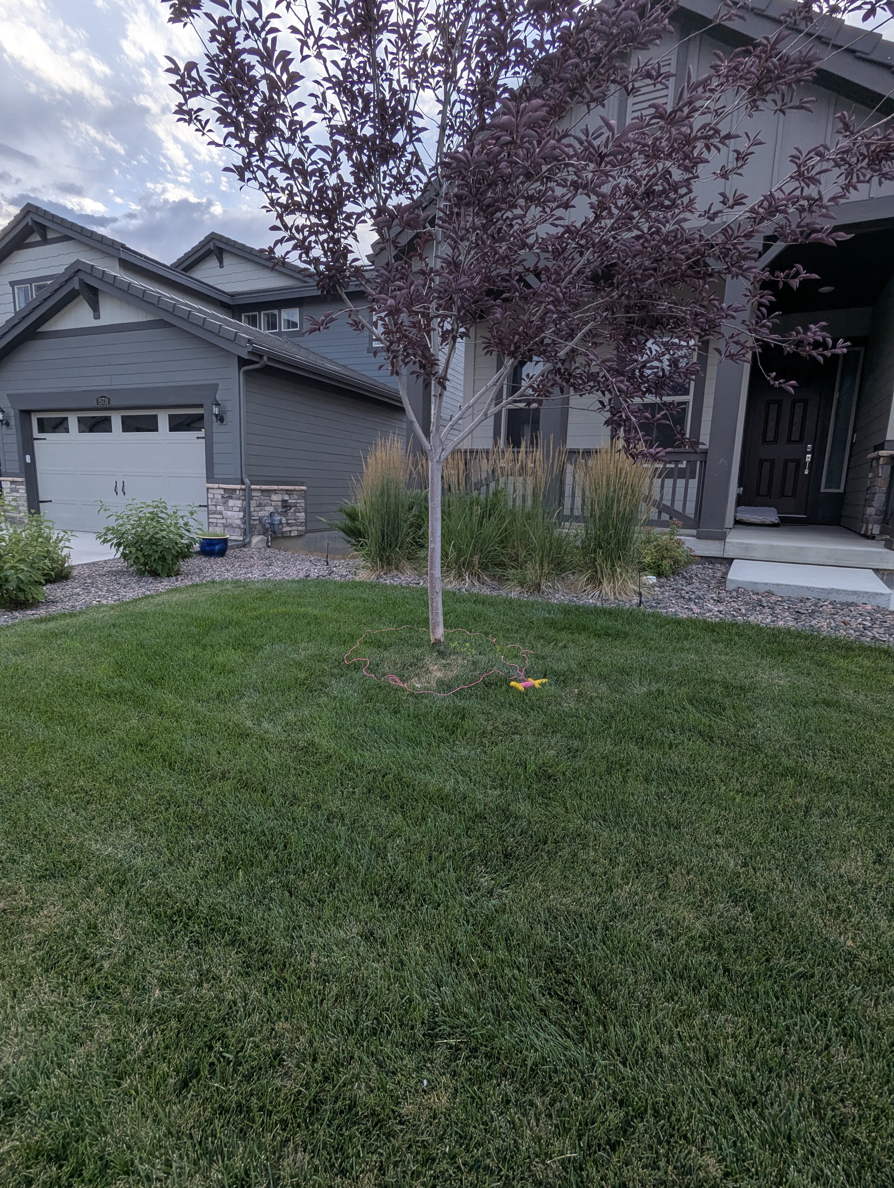 Garden, Morrison, Colorado